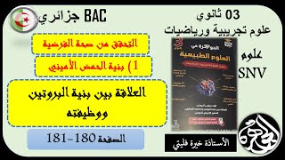 بنية الحمض الأميني