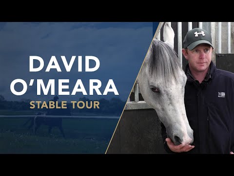 David O'Meara stable tour: 2021 Flat season