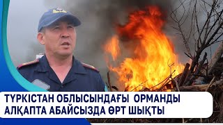 Түркістан облысындағы  орманды алқапта абайсызда өрт шықты