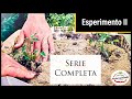 Pomodoro in Vaso | Secondo Esperimento Serie Completa + Speciale Fusariosi e conclusione inedita