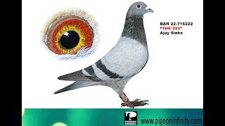 BAN 2022-716222