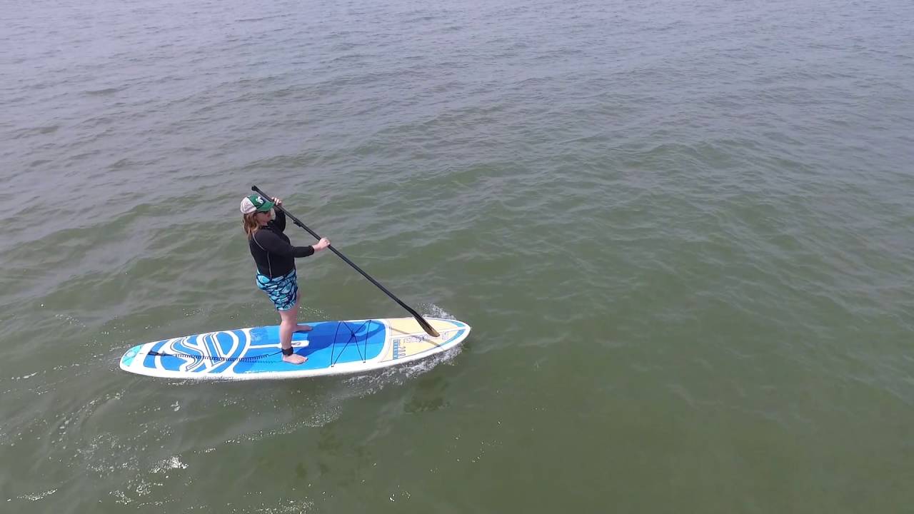 Paddle Boarding in Galveston YouTube