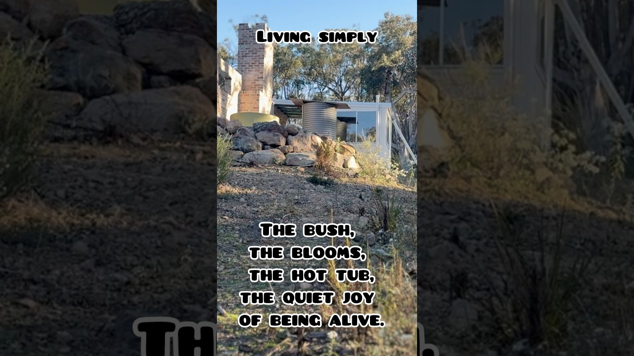 Where the Wildflowers Grow 🤍 | Off-Grid Peace in the Australian Bush