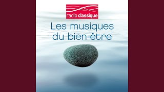 Legends, Op. 59, B. 122: No. 6 in C-Sharp Minor, Allegro con moto