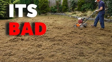 The Ultimate Fix for a Bumpy uneven Lawn full of Moss