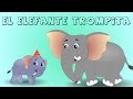 El elefante Trompita | Enganchados Canciones Infantiles 40 minutos