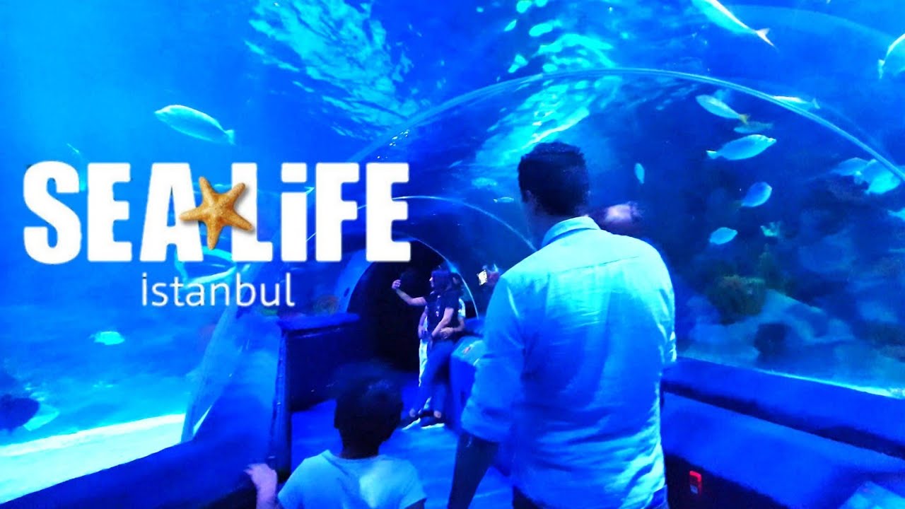 EL MEJOR ACUARIO DE TURQUIA 🇹🇷 COLOMBIANA EN TURQUIA