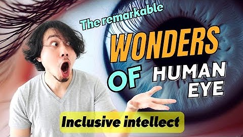 The remarkable #wonders of the #human #eye #inclusive #intellect eye functions
