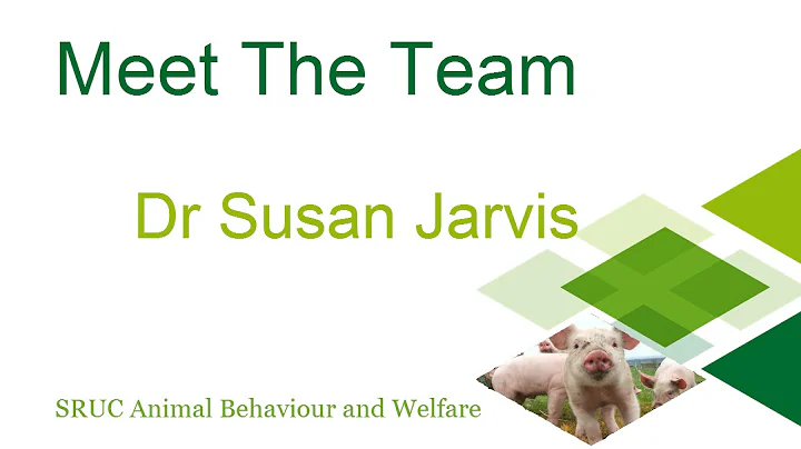 Meet The Team - Susan Jarvis