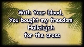 Video thumbnail of "Hallelujah For The Cross -Chris McClarney -"