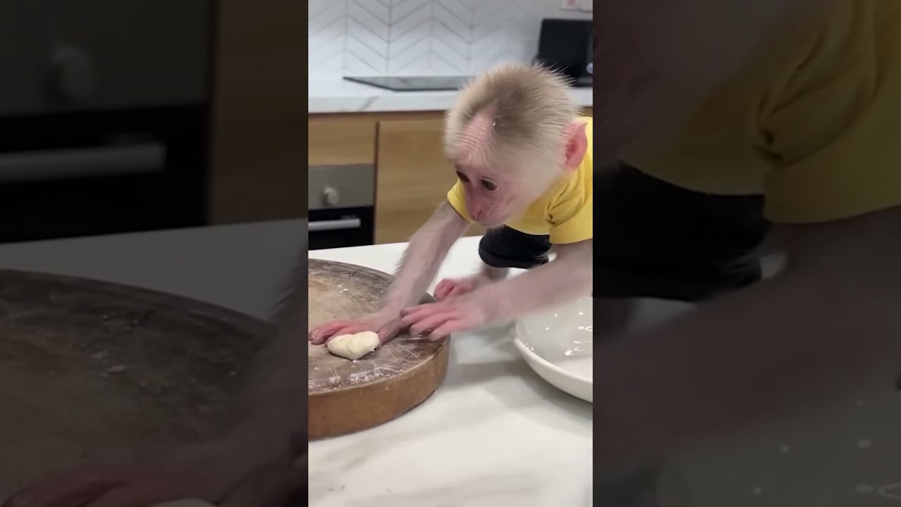 Oops! Do you even know how to bake? 🧁 