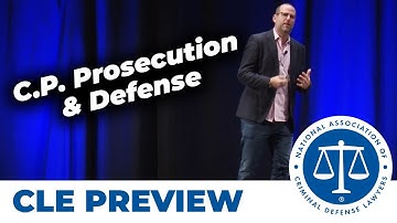 Cyber Vice: An Insight Into the World of Child Pornography Prosecution & Defense - David Seltzer