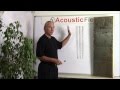 How Our Diaphragmatic Absorber Works - www.AcousticFields.com