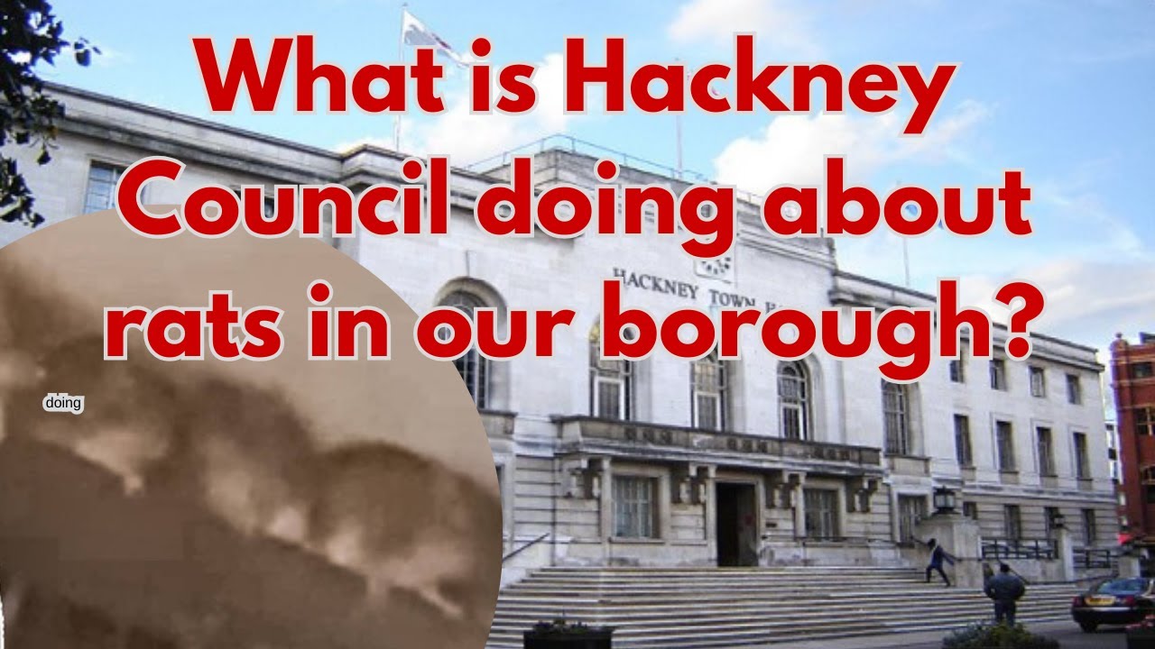 What is Hackney Council doing about rats in our borough?