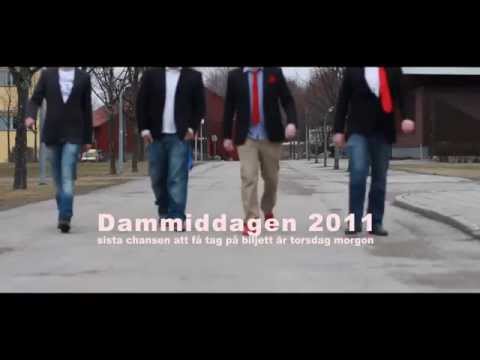 Dammiddagen 2011 trailer [HD].mp4