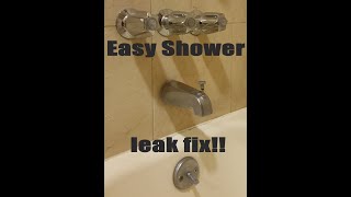 How to repair and replace leaking 3 handle shower valves. Fix leaking shower head. by Jack of All 14,974 views 3 years ago 5 minutes