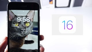 5 лучших функций iOS 16, о которых вам следует знать!