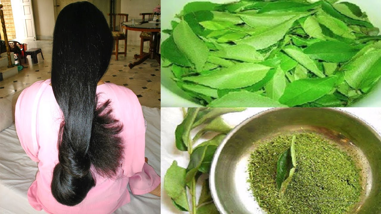 7 day Hair Miracle  With Proven Real Results  Curry Leaves Magic  YouTube
