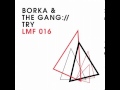 Borka & The Gang  - Try (Original Mix)