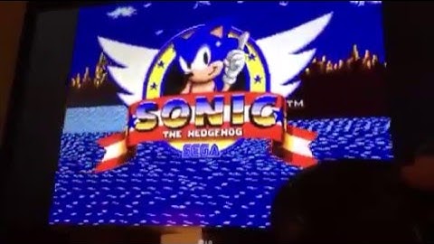 Sonic 1 strange autodemo cart - Possible prototype