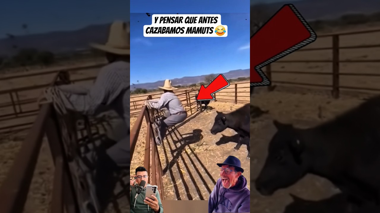 Un Bailesito Para el Susto 😂 #humor #viralvideo #memes #funny #shorts