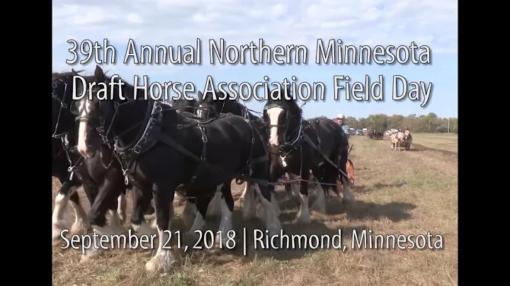 Northern Minnesota Draft Horse Association Field Day - 2018 - DayDayNews