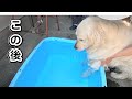 気持ち良すぎたのか出てこなくなった・・・。 #メイちゃんねる