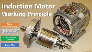 3 Phase Induction Motor Working Principle | How Induction Motor Works