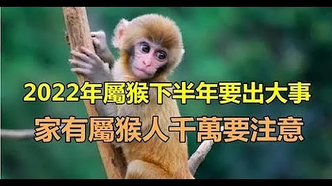 不能小觑！2022年属猴下半年“运势发生变化”　家里有属猴人的“这些事项”要注意 | 生肖命理 - 天天要闻