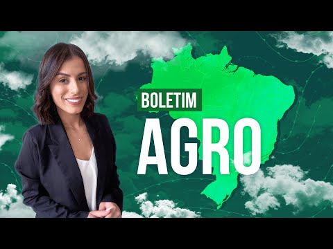 Boletim Agro - Semana com chuva forte no MATOPIBA.