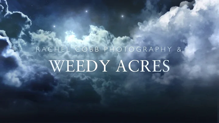 Rachel Cobb Photography & Weedy Acres