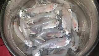 Village Style Nethallu Chintakaya Curry Recipetamarind Fish Masala Gravy Curry Recipe By Lakshml