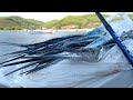Риболов на заргани в Гърция. Зловещ монтаж - кастмастер с изнесена тройка