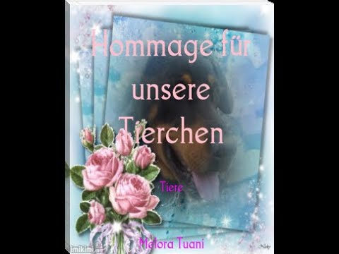 SUITE VON TEUFELSKREIS - YouTube