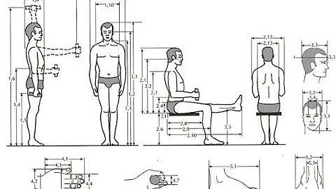 O que é antropometria e quais são suas implicações na arquitetura?