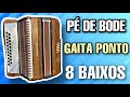 PÉ DE BODE OU GAITA PONTO? Sanfona de 8 baixos