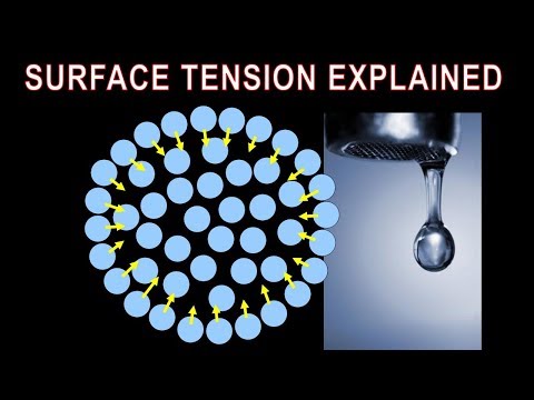 Video: Ano ang surface tension para sa mga bata?