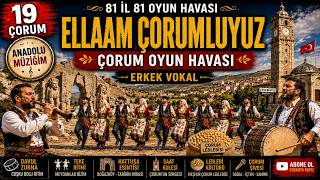 19 ÇORUM — 81 İL 81 OYUN HAVASI | ELLAAM ÇORUMLUYUZ | ERKEK VOKAL | ANADOLU MÜZİĞİM