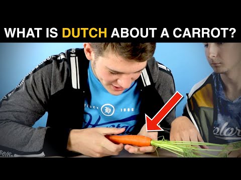 Video: Wat zijn draagpunten?