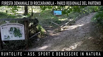 Che significa zona demaniale?