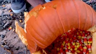Guys Drop An iPhone 100 Feet Inside A Pumpkin! | What's Trending Now