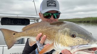 I found the redfish HONEY HOLE… by LowCountryFishing 6,918 views 1 year ago 19 minutes