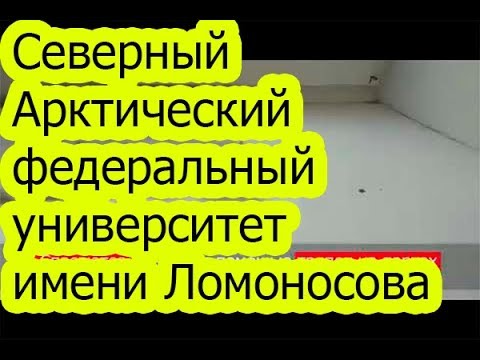 Се́верный Аркти́ческий федера́льный университе́т имени Ломоносова днище рф