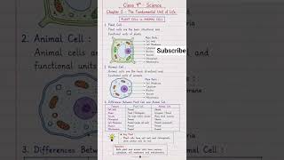 fundamental unit of life cell #trending #ytshorts #edit #biology #cell #education #explore
