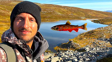 Che cosa si pesca nel mar di Norvegia?