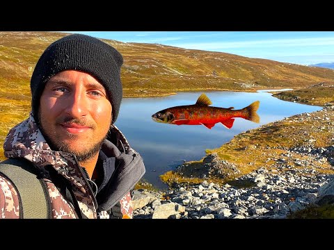 Video: Lago Inari: natura e pesca