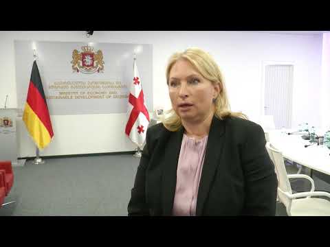 ნათია თურნავა გერმანიის ეკონომიკისა და ფედერალური მინისტრის მოადგილე თომას ბარაისს შეხვდა