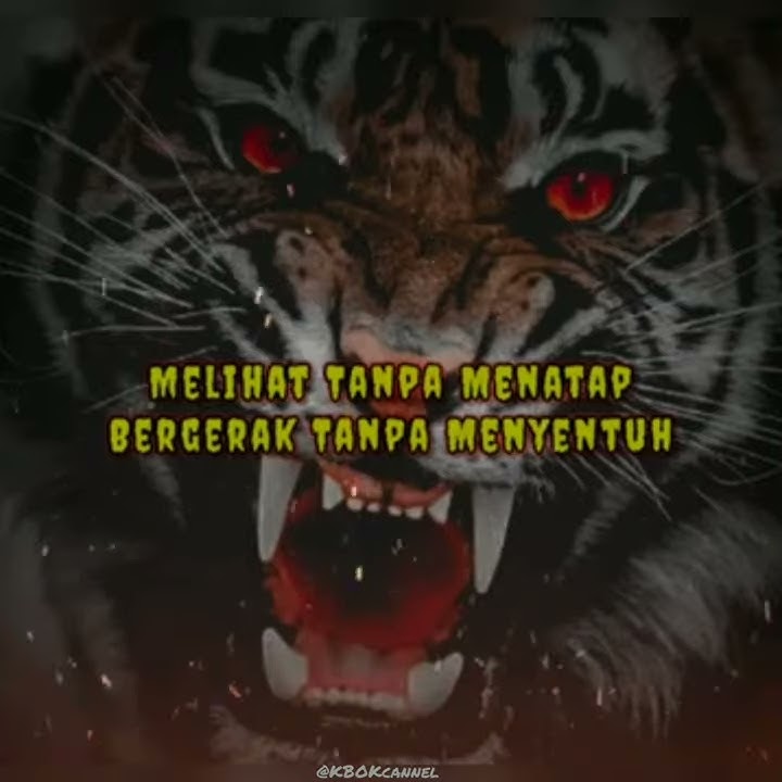Story' wa terbaru 'macan putih (perabu siliwanggi)