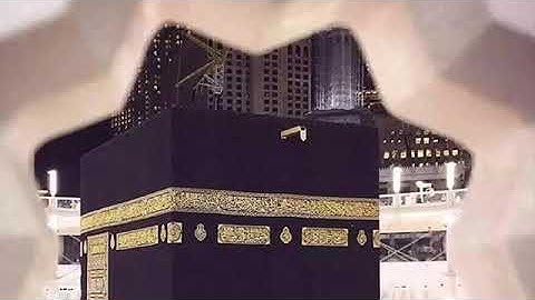 حالة واتس القارئ عمر الدريويز بتلاوة جميلة جداً ما شاء الله 🌸