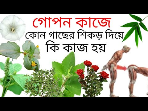 ভিডিও: ক্যারিকমের কাজ কি?